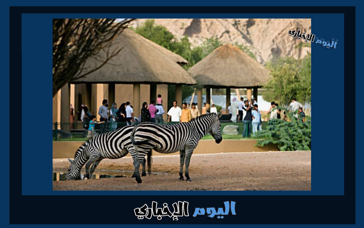 رابط حجز تذاكر حديقة الحيوانات في العين Al ain zoo مواعيد العمل واسعار التذاكر 2024